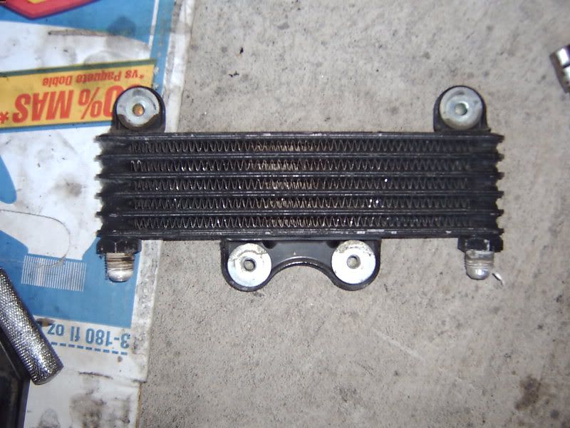Oil cooler upgrade KZRider Forum KZRider, KZ, Z1 & Z Motorcycle